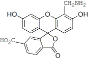6-CF